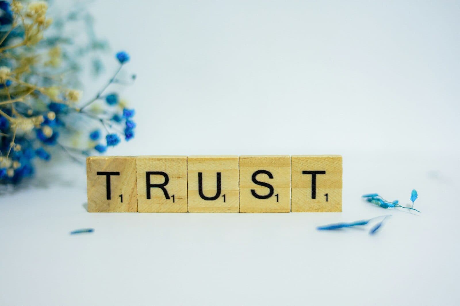 Build Brand Trust Without Switching Tools